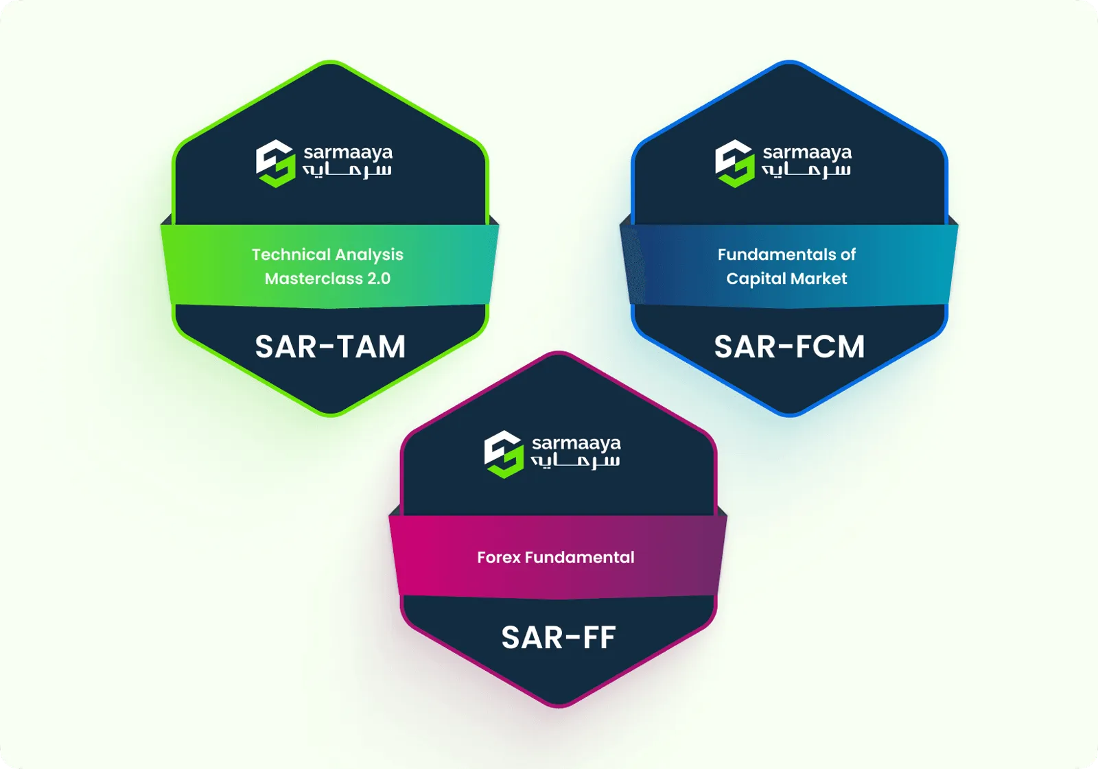 Sarmaaya certification badges